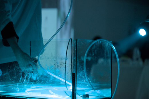 chrysalis, 2026, T. Kocmur in E, Mulej Vrabič, performativna postavitev, Cirkulacija 2, (foto: Gregor Podržaj)